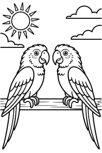 Pobierz PDF dwie papugi na galezi darmowa kolorowanka do druku