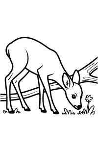 Kolorowanka do druku - Sarna skubiąca trawę w lesie (PDF)