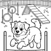 Wesoły pies na torze agility - Kolorowanka do druku